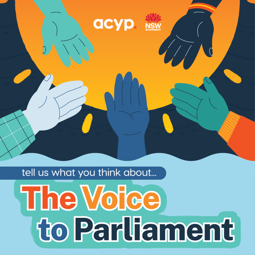 Voice to Parliament - tell us what you think